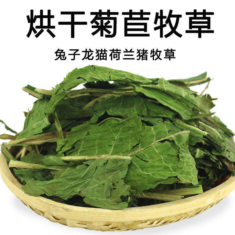 龙猫嘻语保健草 烘干蒲公英干草西安 菊苣车前草50g兔草荷兰猪