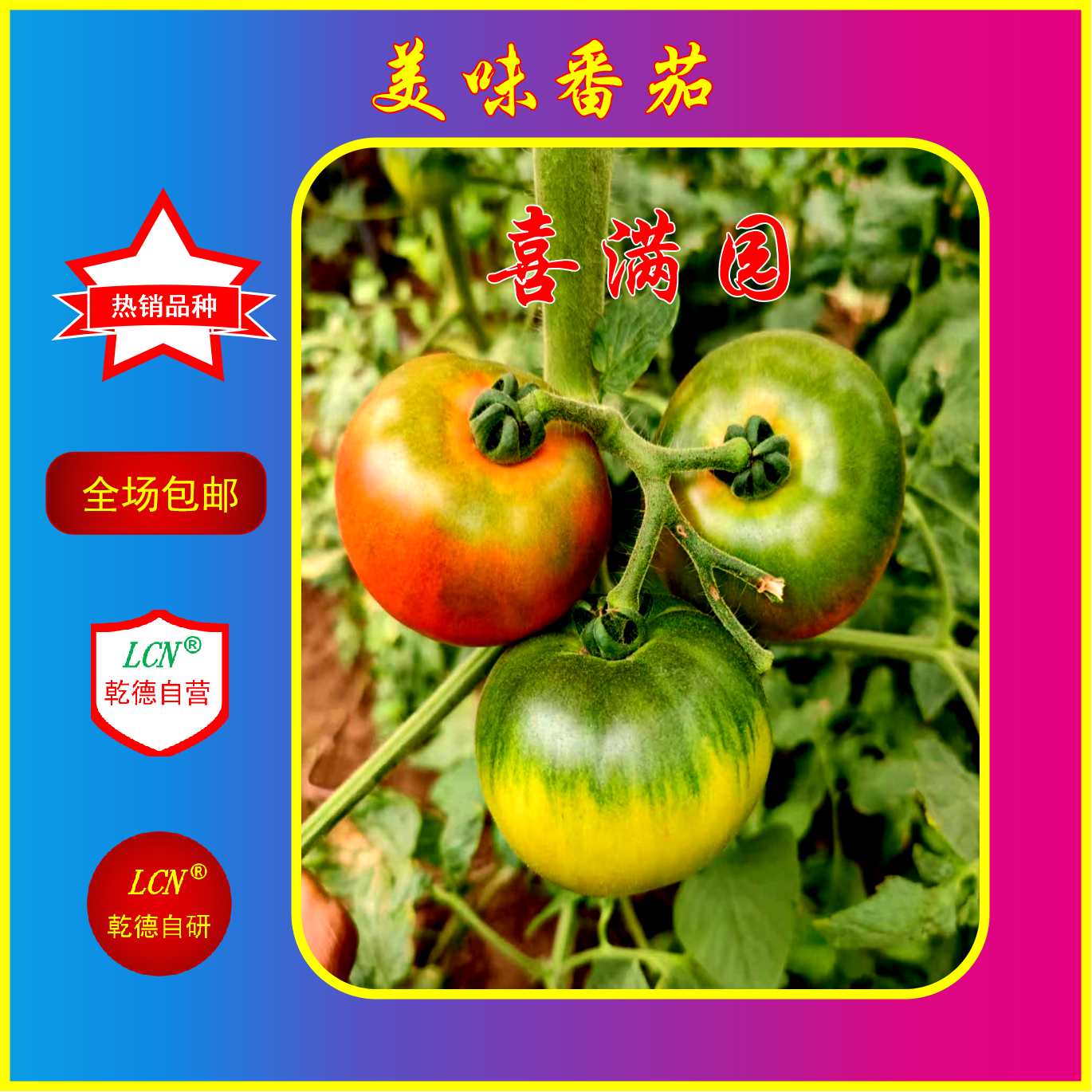 口感好番茄种子乾德商品性好