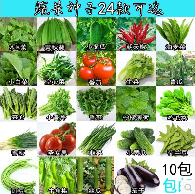 蔬菜种子套餐四季播阳台种菜庭院秋季水果盆栽菠菜小葱香菜韭菜籽-封面