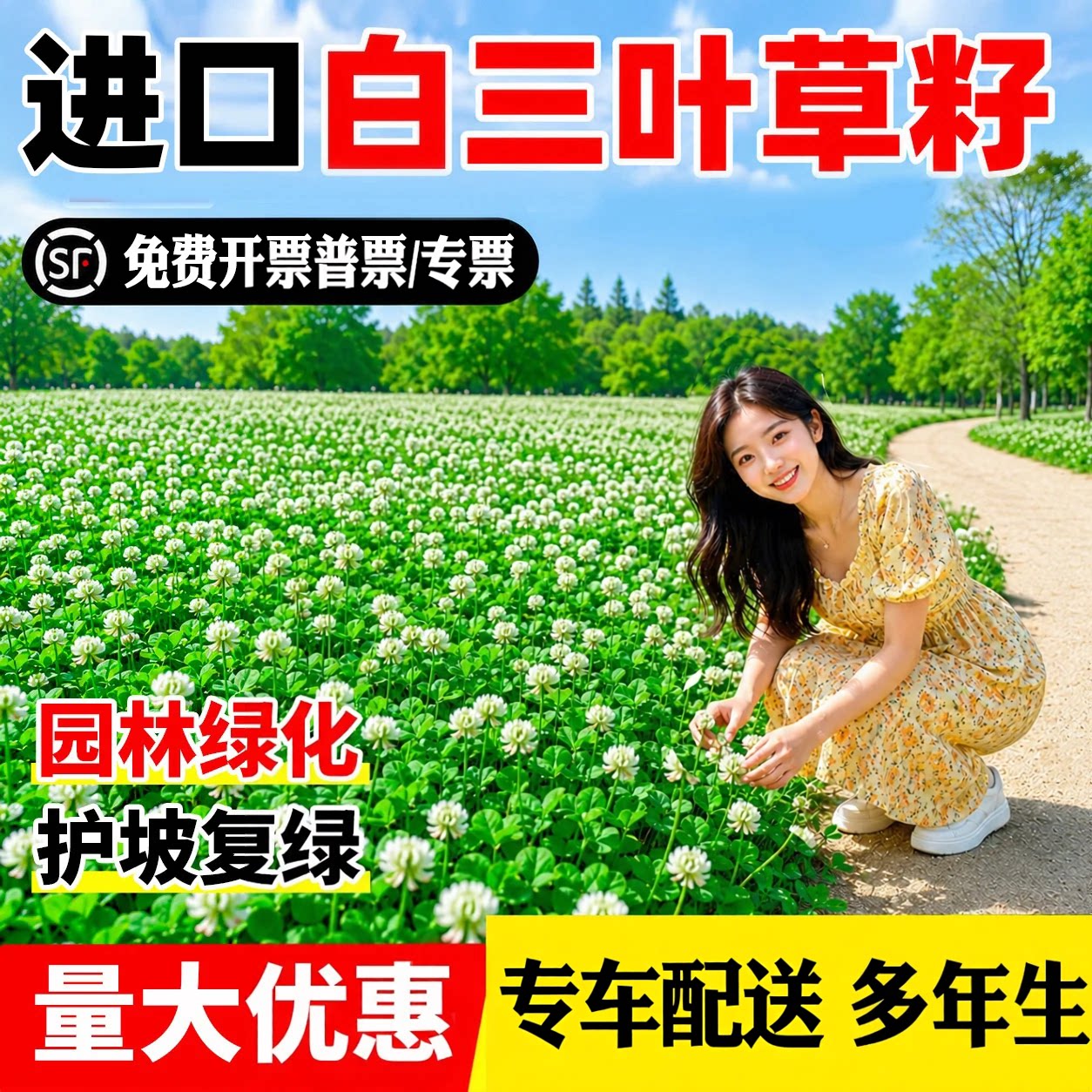 三叶草种子四季播种红白三叶草果园绿肥四叶草庭院绿化籽种车轴草