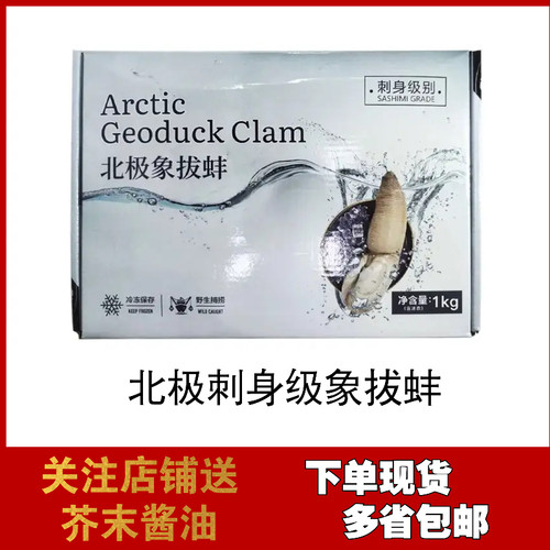 北极象拔蚌日料 刺身象拔蚌 解冻即食 含冰1kg 象牙蚌餐饮商用