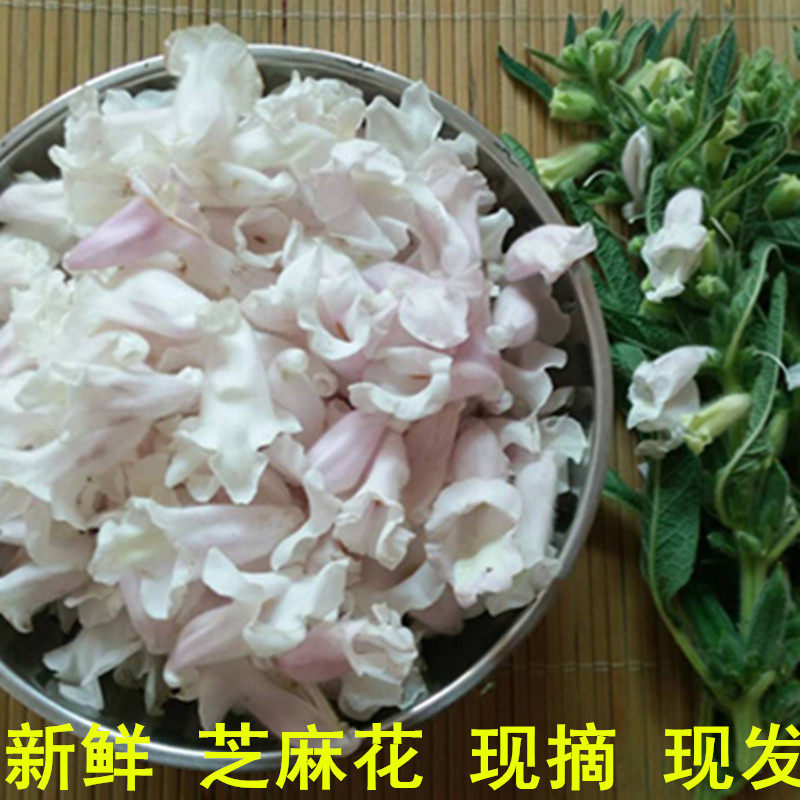 新鲜芝麻花猴子和尤鸡眼黑芝麻花鲜麻子花干芝麻花芝麻花干芝麻杆