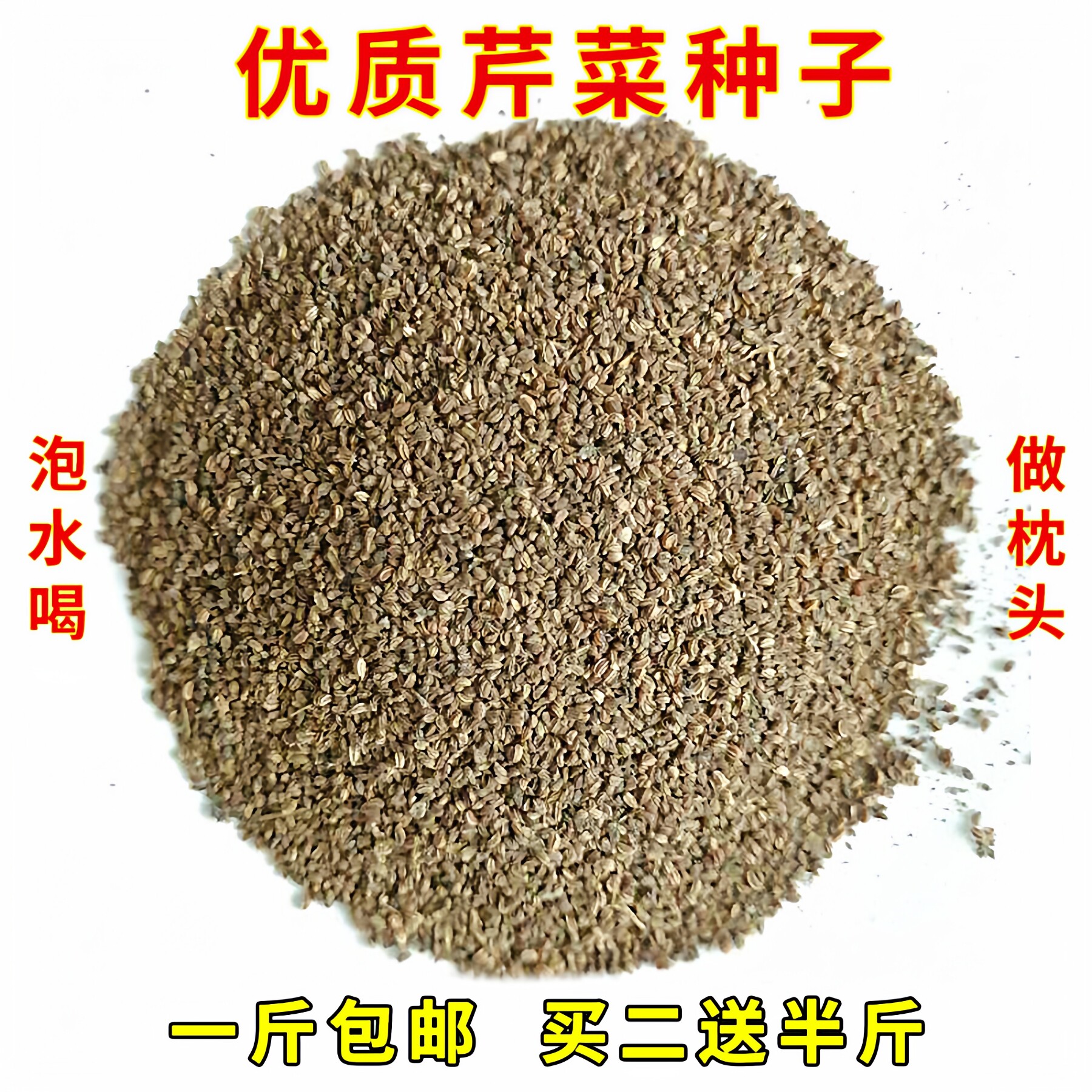 优质芹菜种子西芹种籽香芹新鲜干净泡水喝泡茶做枕头中老年散装