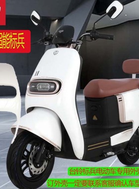 台铃超能标兵电动车外壳塑料件原厂标兵配件大灯前脸挡风挡泥板