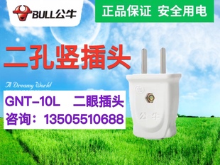 公牛10A插頭GNT 10L1電線二頭兩腳接線兩孔兩角項電源2腳二腳二極