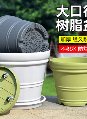 大口径种树树脂花盆加厚特大号