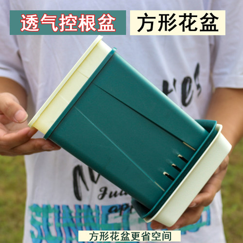 pp材质简约透气控根利于植物生长