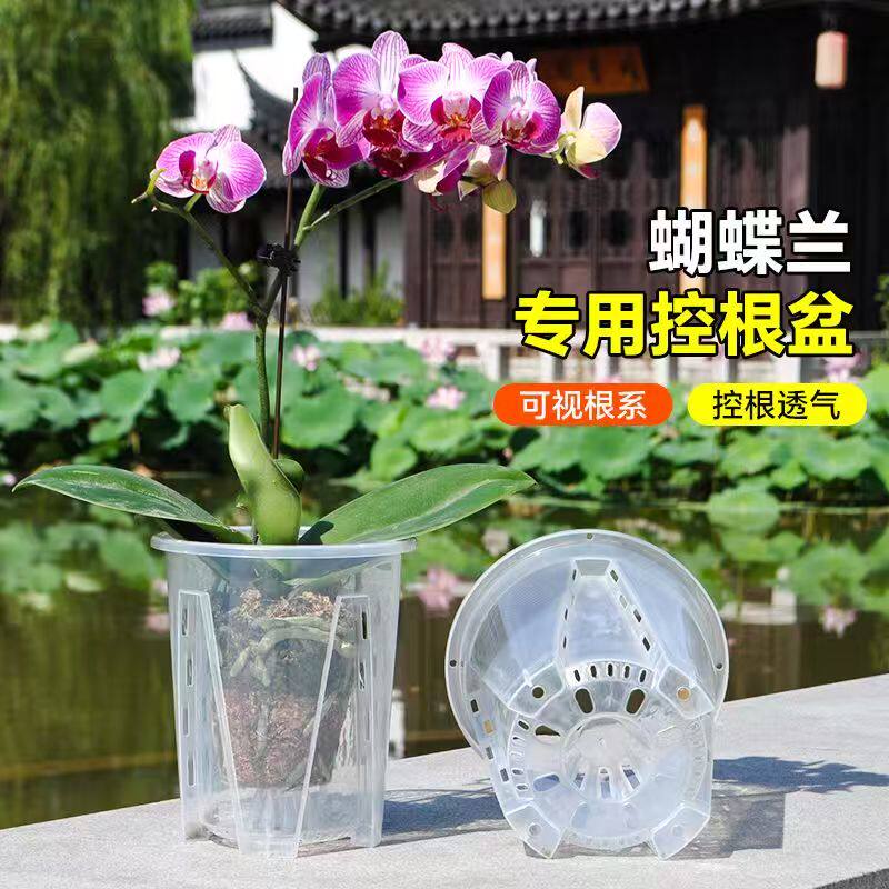蝴蝶兰专用花盆空气柱透明青山盆特大号大口径塑料圆形桌面高花盆