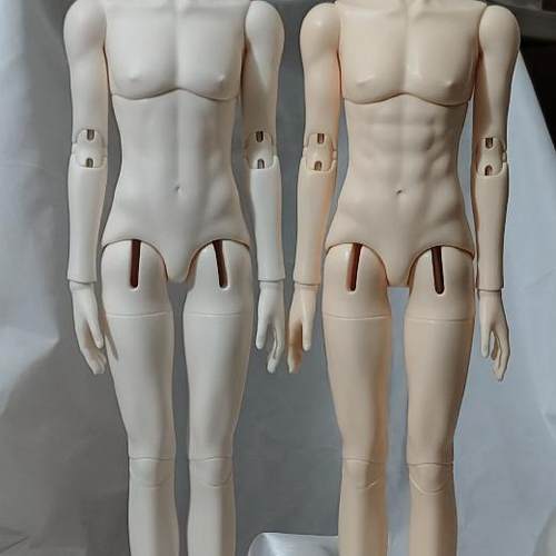 秋帝自制授权猎鲨体尾款 11月1号中午12点第四批开始补尾款