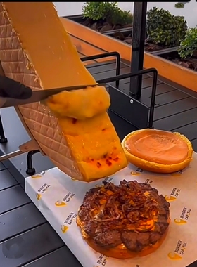 法国车轮半圆芝士奶酪加热机器电烤炉火锅cheese raclette grill