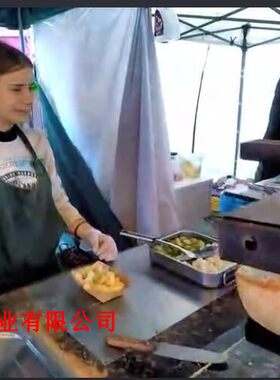 瑞士车轮奶酪芝士起司电热烧烤炉电烤架土豆三明加热融化机cheese