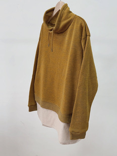 断色清日单秋冬立领拉绒卫衣女宽松休闲百搭上衣