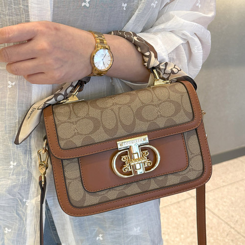 品牌正品真皮包包女式2025新款轻奢老花斜挎小包时尚百搭小方包女