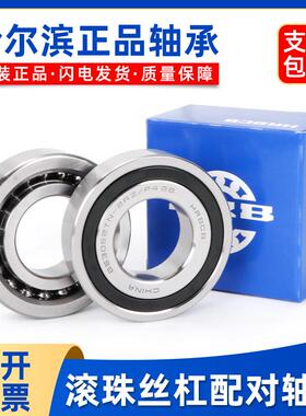 哈尔滨丝杆轴承 BS1747-2047-2562-3062-3572-4072-4090-50100/P4