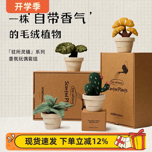 回家本能植物桌面盆栽扩香摆件
