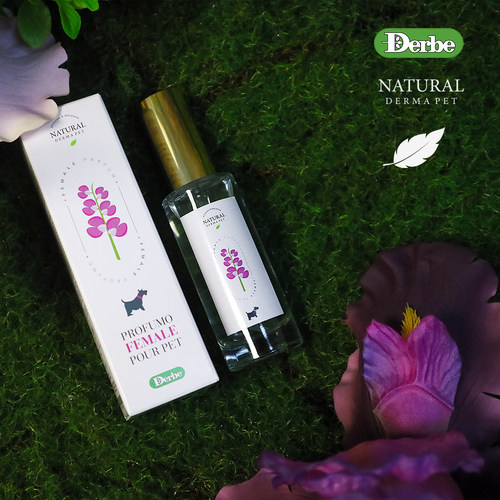 新品意大利Derbe神秘鸢尾和优雅的兰花宠物香氛30ml