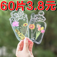 干花書(shū)簽植物標(biāo)本塑封膜秋天收集楓葉手工diy材料透明樹(shù)葉粘貼畫(huà)