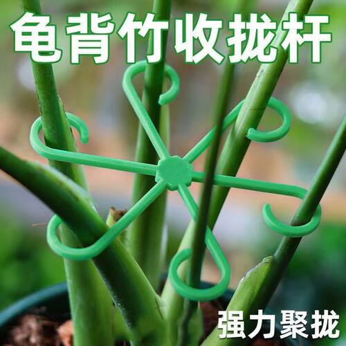 龟背芋固定神器支伸缩杆植物防倒