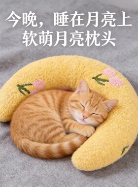 猫咪狗狗专用小枕头宠物