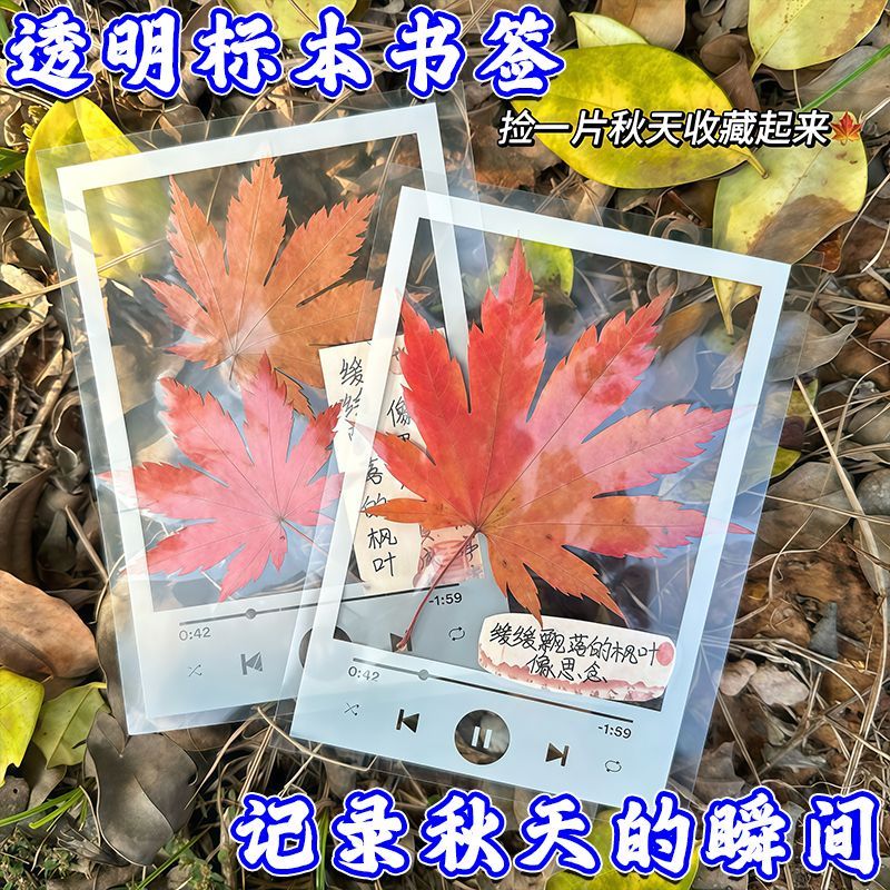 diy落叶书签秋天定制书签简洁时尚塑料相框压花植物创意手工标注