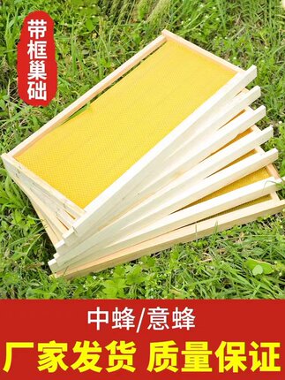 巢框中蜂成品意蜂巢框带框巢础蜂箱专用标准蜂具养蜂