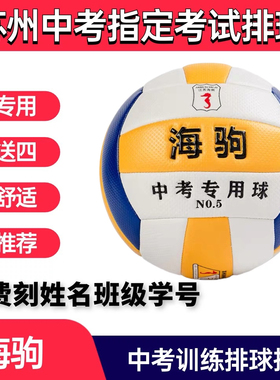 免费刻姓名苏州海驹1110A针纹气排球初中生指定中考教学体育训练