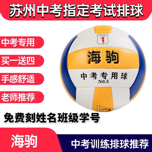 2026款苏州中考海驹排球字中学生