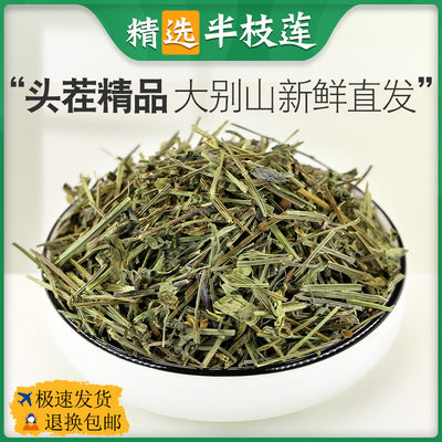 半枝莲中药材正品500g中草药半枝莲茶新鲜非野生白花蛇舌草半枝连