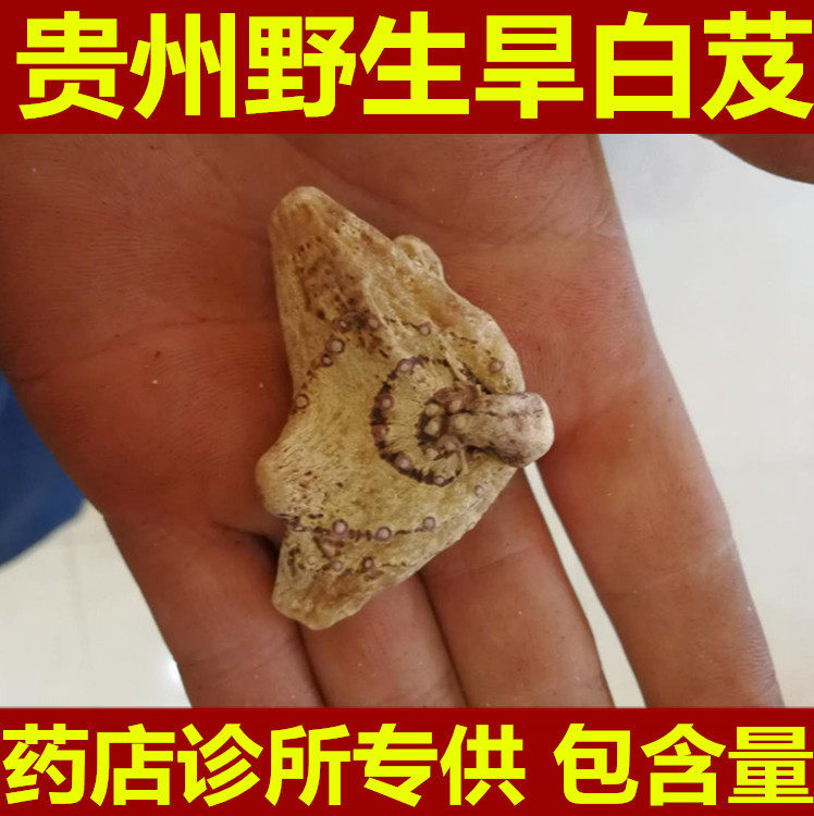 中药材正品贵州野生三叉旱白芨 整个白芨 全干白及白芨粉500g包邮
