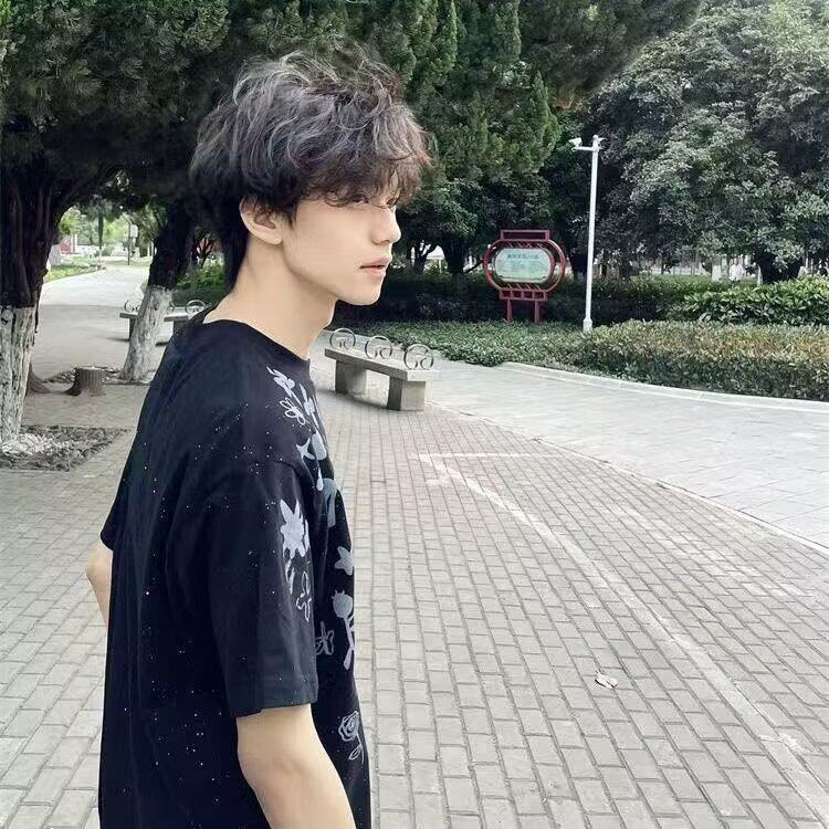 新款满天星高级感纯棉短袖T夏季男士个性百搭情侣衫P38,男装T恤,星座617A(原A401)