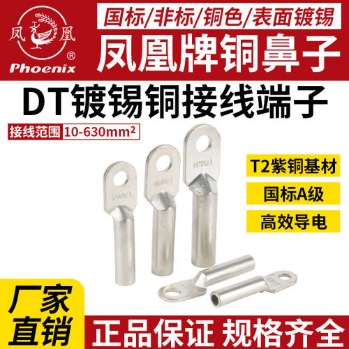 凤凰DT镀锡铜鼻子国标A级铜接线端子铜接头紫铜直接铜线厂家直销
