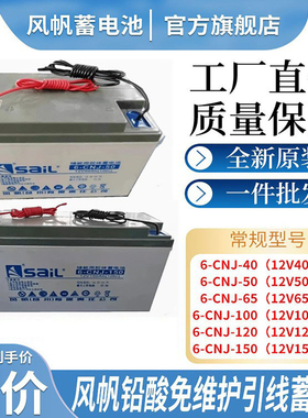 风帆胶体引线铅酸蓄电池6-CNJ-50AH65H100A150A应急太阳能发电路
