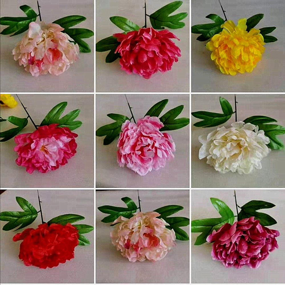 单枝花头大朵室内背景供佛牡丹