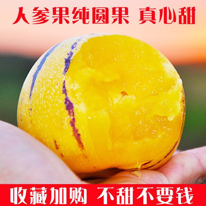 人叁果云南石林人生果水果包邮新鲜水果5斤大小果人参果圆果在类目 水产肉类/新鲜蔬果/熟食, 新鲜水果, 其它中 - 来自Buy2taobao.com提供专业的淘宝代购服务