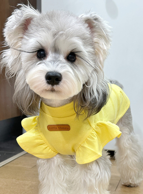 小飞袖背心黄色白胡子雪纳瑞衣服泰迪比熊狗狗衣服支持定制