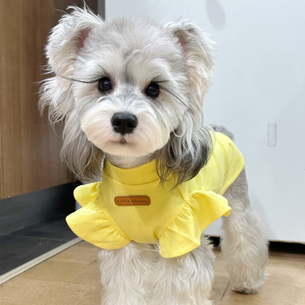 小飞袖背心黄色白胡子雪纳瑞衣服泰迪比熊狗狗衣服