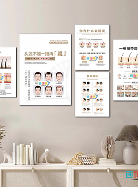 脱发等级装饰画生发养发植发挂画白转黑康养图防脱发海报头皮养护