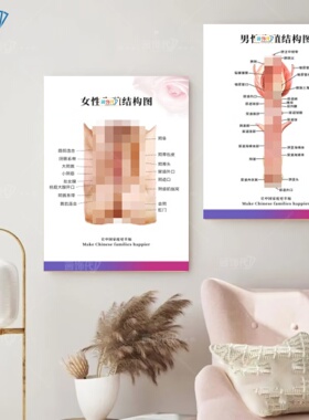 男女生殖结构图装饰画妇科墙壁宣传挂画生殖解剖图健康科普知识