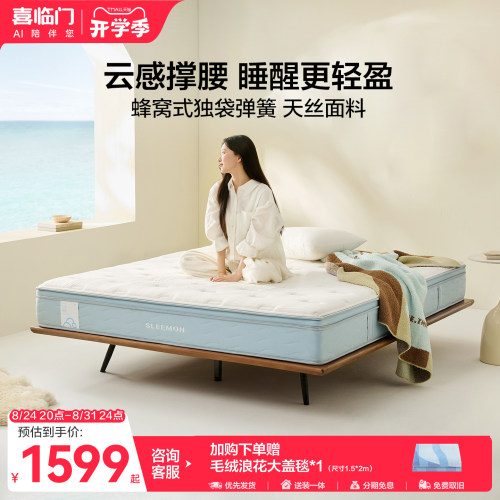 【云朗Hit】喜临门主卧双人席梦思舒脊记忆棉蜂窝独袋弹簧床垫