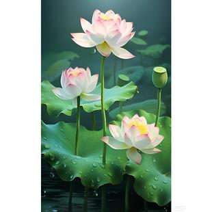 荷花贴画白莲花荷花叶荷塘莲花粉色自然风景海报挂画装饰画卫生间