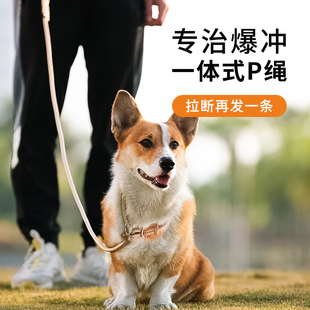 艾窝狗狗牵引绳P绳防爆冲耐磨训犬尼龙绳套大中型犬P链狗绳强拉力