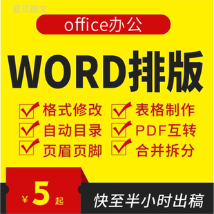 代做word排版格式修改文档段落间距目录生成奇偶页眉脚页码转pdf