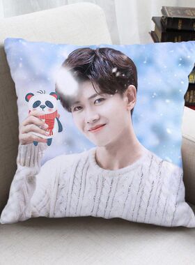明星任嘉伦抱枕国超周边照片来图定制同款玩偶送女生闺蜜礼物床靠