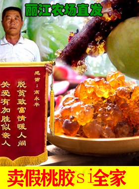 云南丽江玉龙雪山天然野生农家干桃胶正品非特级桃花泪散装500g