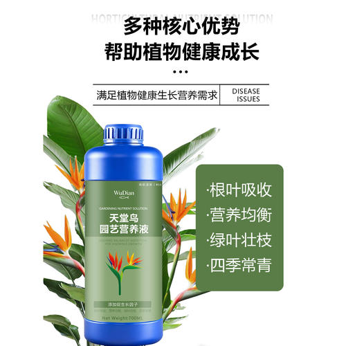 天堂鸟专用营养液防黄叶卷边