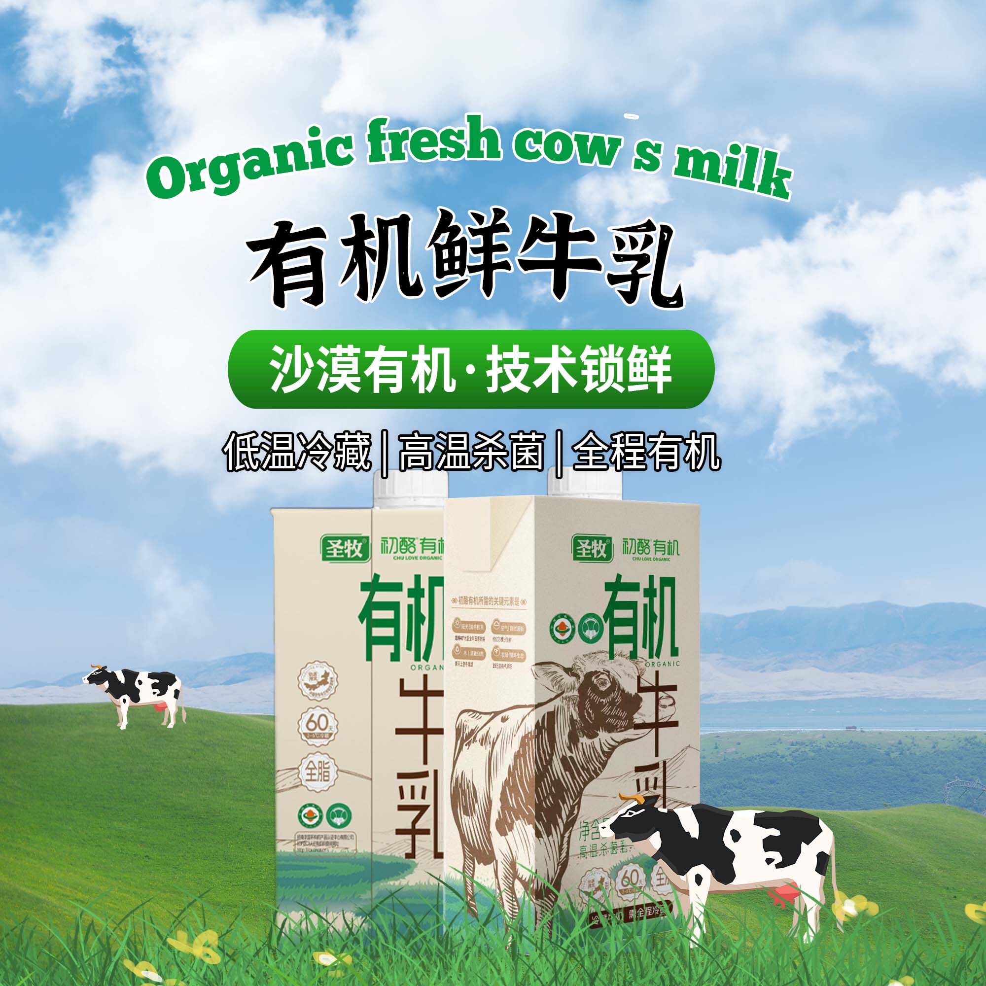 圣牧初酪有机牛奶1L*4盒内蒙古沙漠草原全脂纯牛奶生鲜3.6g儿童