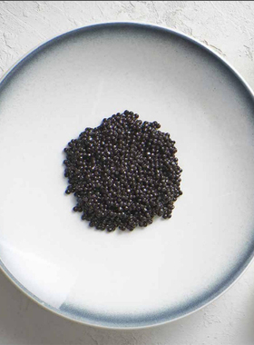 比利时Fine 2 Dine白色高温日式渐变芝麻点点正长方圆形碗盘碟子