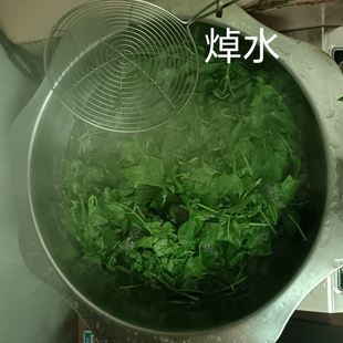 焯水绿色杆九层塔香罗勒叶子潮汕金不换带嫩杆抛肉饭零下地区可发