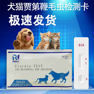 犬狗猫咪宠物检测试纸GIA贾第鞭毛虫病毒检测卡猫狗通用取样粪便