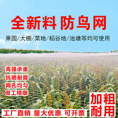 防鸟网丝网果树大棚养殖防护网